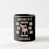 Anatomie eines chihuahua-lustigen Welpengeschenks