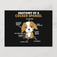 Anatomie eines Cocker Spanel Niedlich Hunde Welpe