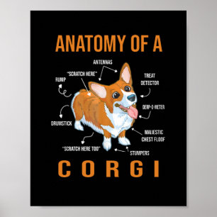 Anatomie eines Corgi Funny Dog Poster