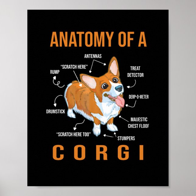 Anatomie eines Corgi Funny Dog Poster (Vorne)
