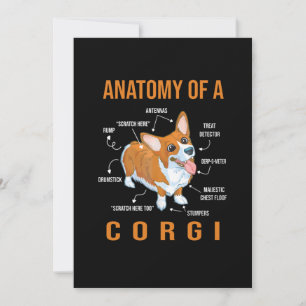 Anatomie eines Corgi Funny Dog Save The Date