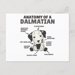 Anatomie eines Dalmatiners süße Hunde Funny Puppy Postkarte