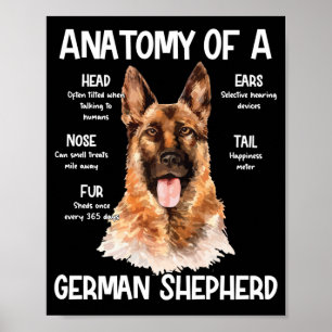 Anatomie eines deutschen Hirten für Hundeliebhaber Poster
