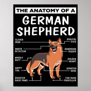 Anatomie eines deutschen Schäferhundes Lover Poster