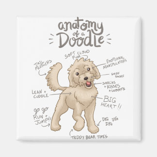 Anatomie eines Doodle Hundes Magnet