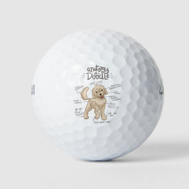 Anatomie eines Doodles Golfball (Vorderseite)