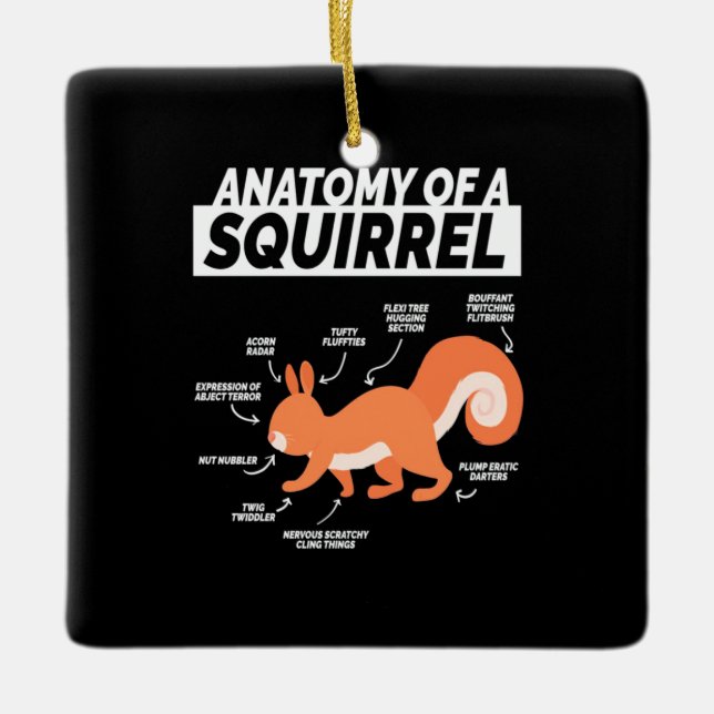 Anatomie eines Eichhörnchens Keramikornament (Vorderseite)