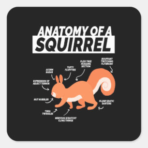 Anatomie eines Eichhörnchens Quadratischer Aufkleber