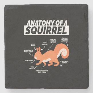 Anatomie eines Eichhörnchens Steinuntersetzer
