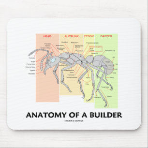 Anatomie eines Erbauers Mousepad