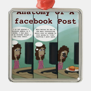 Anatomie eines Facebook-Posts Lustig Silbernes Ornament