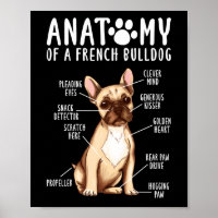 Anatomie eines französischen Bulldoggen-Mama-Vater