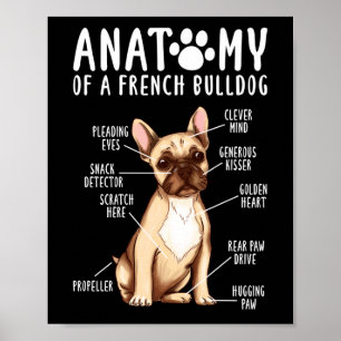 Anatomie eines französischen Bulldoggen-Mama-Vater Poster