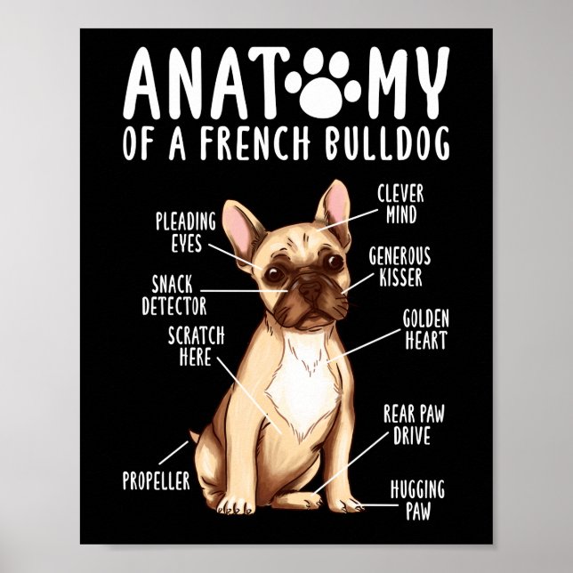 Anatomie eines französischen Bulldoggen-Mama-Vater Poster (Vorne)