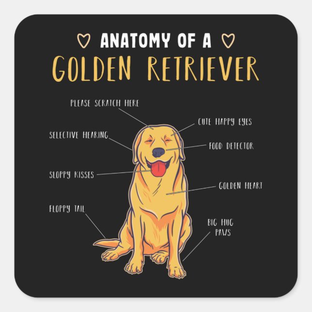Anatomie eines Golden Retriever Funny Gift Quadratischer Aufkleber (Vorderseite)