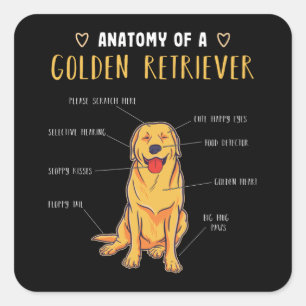Anatomie eines Golden Retriever Funny Gift Quadratischer Aufkleber