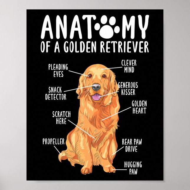 Anatomie eines Golden Retriever Mama Vaters Poster (Vorne)