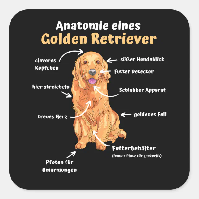 Anatomie eines Golden Retriever Sweet Hunde Funny Quadratischer Aufkleber