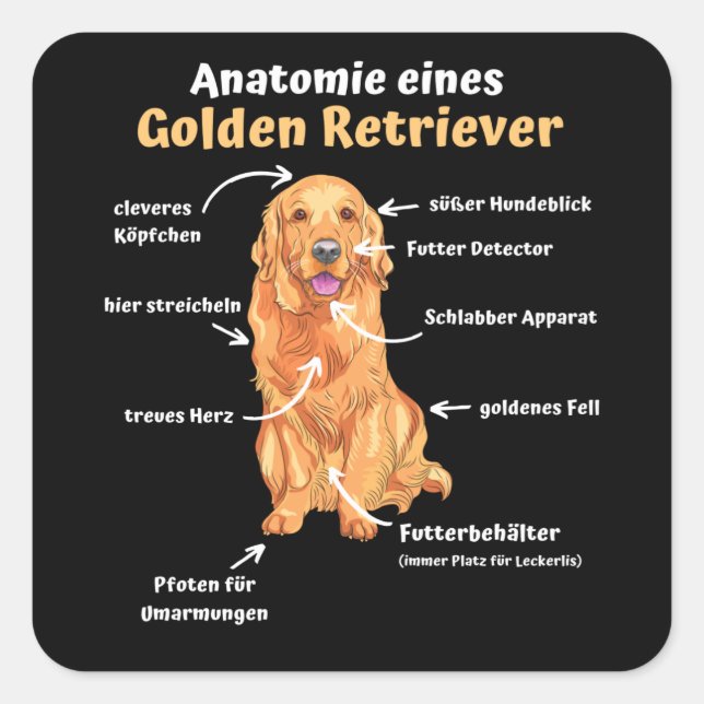 Anatomie eines Golden Retriever Sweet Hunde Funny Quadratischer Aufkleber (Vorderseite)
