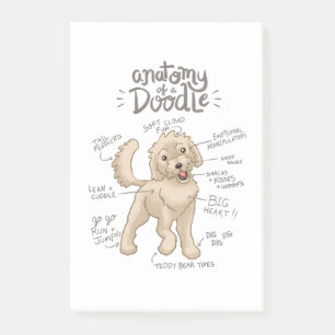Anatomie eines Goldendoodles Post-it Klebezettel