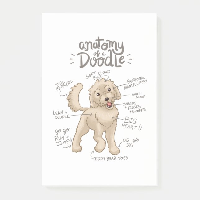Anatomie eines Goldendoodles Post-it Klebezettel (Vorderseite)