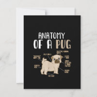 Anatomie eines Hundebüts eines Mops