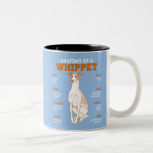 Anatomie eines Hundes bei Hunden Funny Anatomy Cha Zweifarbige Tasse