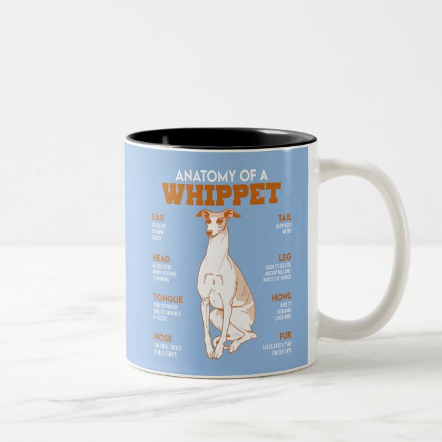 Anatomie eines Hundes bei Hunden Funny Anatomy Cha Zweifarbige Tasse (Rechts)