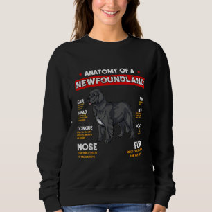 Anatomie eines Hundes in Neufundland Sweatshirt