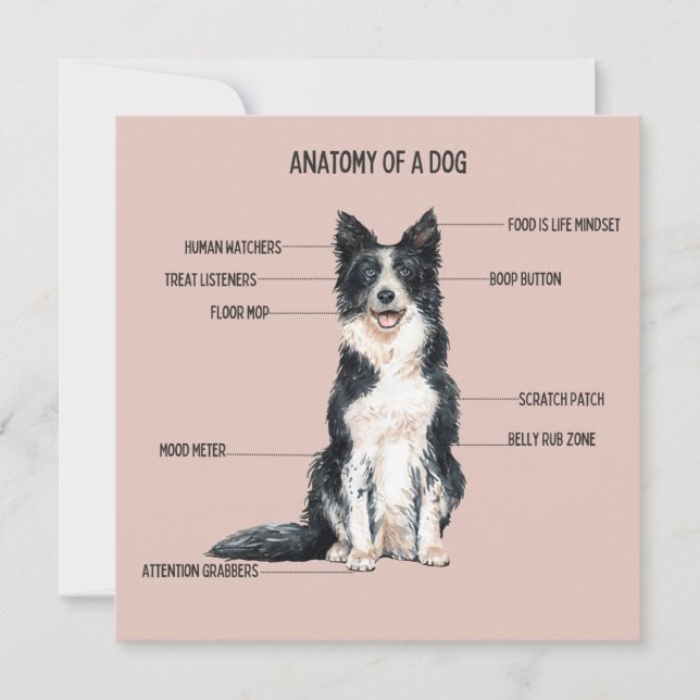 Anatomie eines Hundes Karte (Vorderseite)