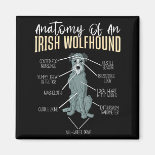 Anatomie eines Irischen Wolfshunds Magnet