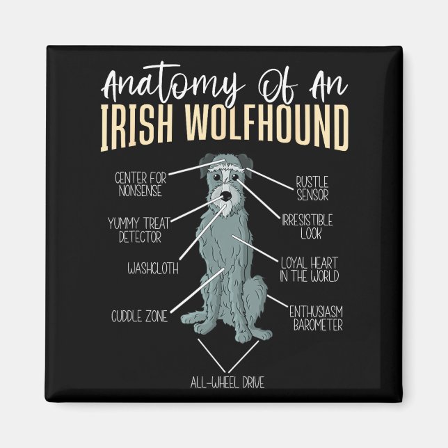 Anatomie eines Irischen Wolfshunds  Magnet (Vorne)