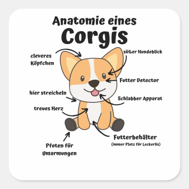 Anatomie eines korgischen Niedlichen Hundes Funny  Quadratischer Aufkleber (Vorderseite)