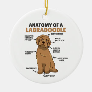 Anatomie eines Labradoodle-Niedlichen Hündchens Keramik Ornament
