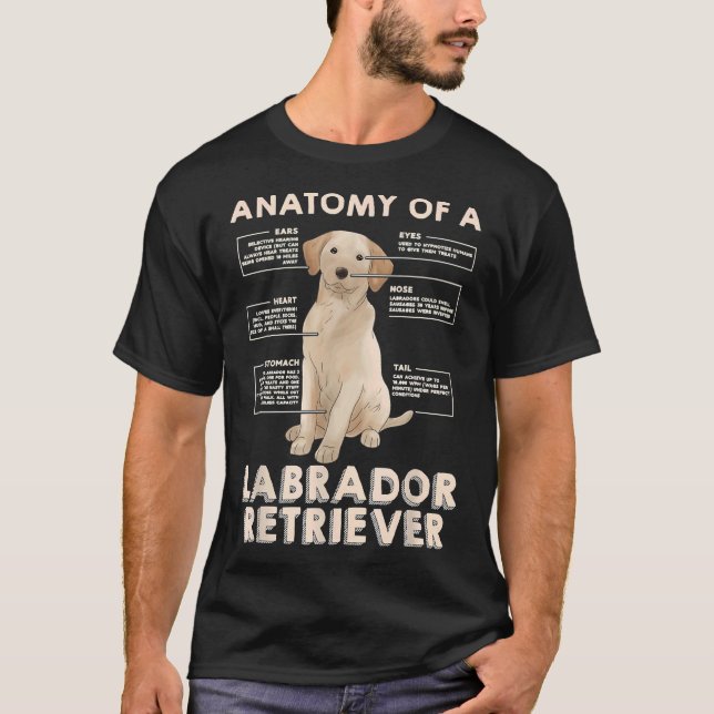 Anatomie eines Labrador Retriever-Ideals für T-Shirt (Vorderseite)