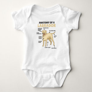 Anatomie eines Labrador Retriever Sweet Hunde Baby Strampler