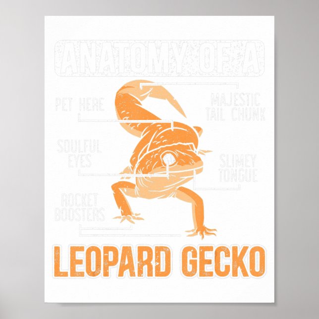 Anatomie eines Leoparden Gecko Lover Lizard Poster (Vorne)