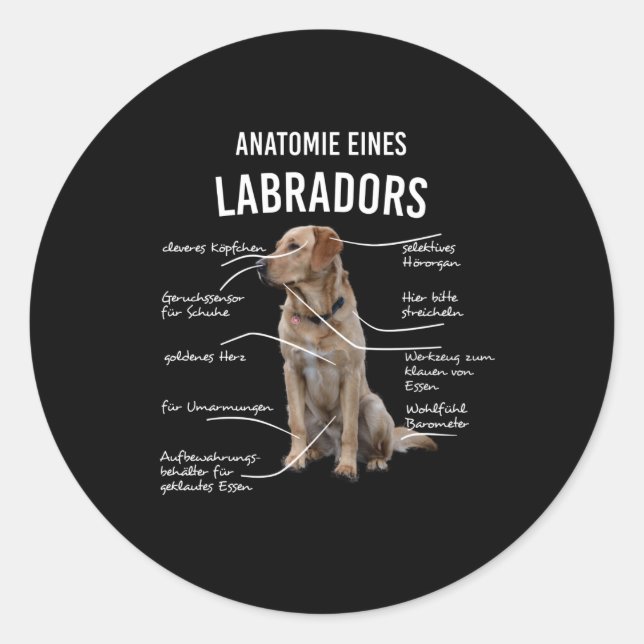 Anatomie eines lustigen Labrador Retriever Hundes Runder Aufkleber (Vorderseite)
