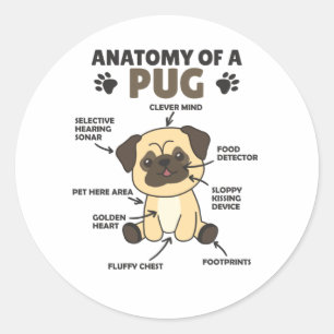 Anatomie eines Mops süße Hunde Funny Puppy Runder Aufkleber
