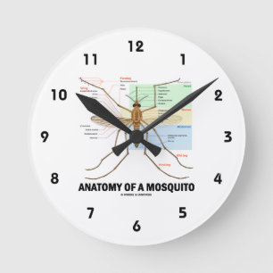 Anatomie eines Moskitos (Entomologie) Runde Wanduhr