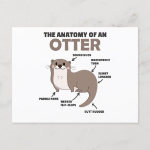 Anatomie eines Otters mit niedlicher Otter Postkarte