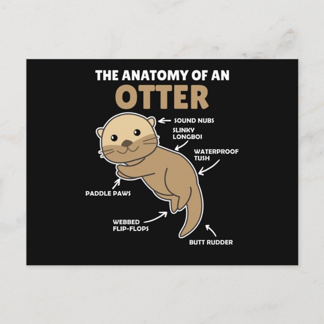 Anatomie eines Otters mit niedlicher Otter Postkarte (Vorderseite)