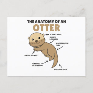 Anatomie eines Otters mit niedlicher Otter Postkarte