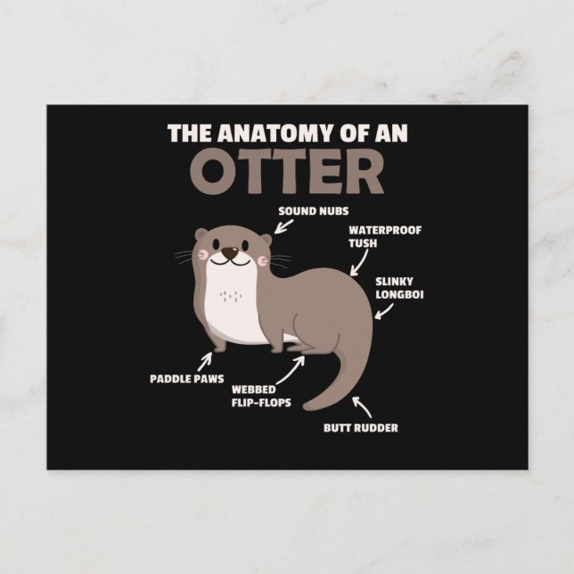 Anatomie eines Otters mit niedlicher Otter Postkarte (Vorderseite)