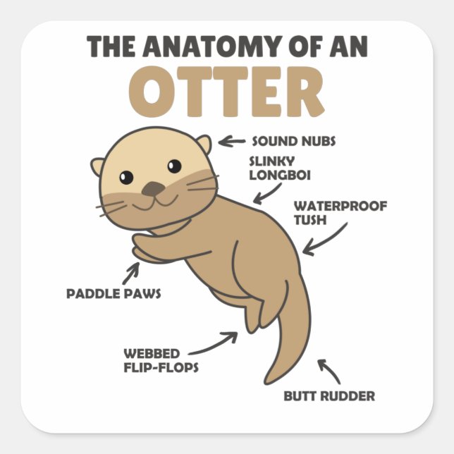 Anatomie eines Otters mit niedlicher Otter Quadratischer Aufkleber (Vorderseite)