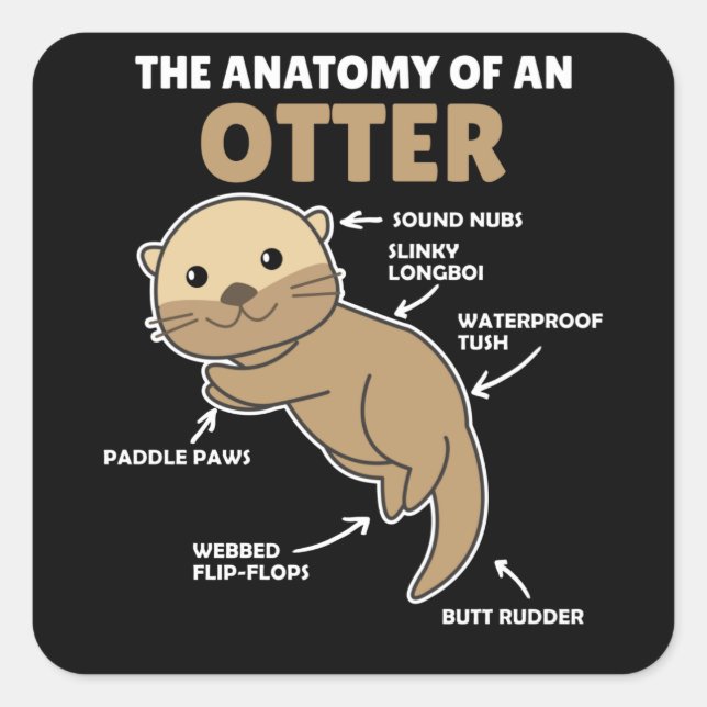 Anatomie eines Otters mit niedlicher Otter Quadratischer Aufkleber (Vorderseite)