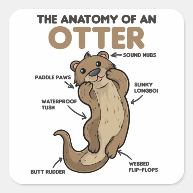 Anatomie eines Otters mit niedlicher Otter Quadratischer Aufkleber (Vorderseite)