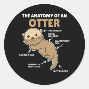 Anatomie eines Otters mit niedlicher Otter Runder Aufkleber