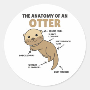 Anatomie eines Otters mit niedlicher Otter Runder Aufkleber