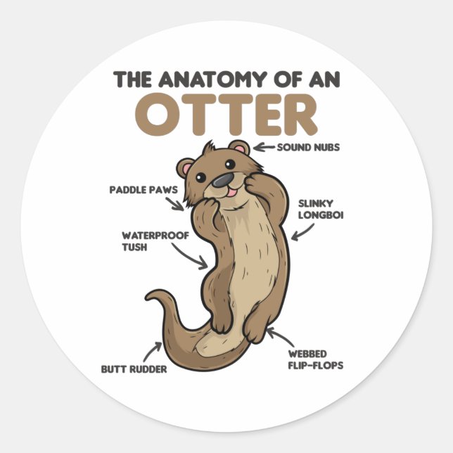 Anatomie eines Otters mit niedlicher Otter Runder Aufkleber (Vorderseite)